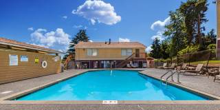 Tamaron Ranch Gallery 46