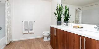 LINQ LINQ Gallery 39