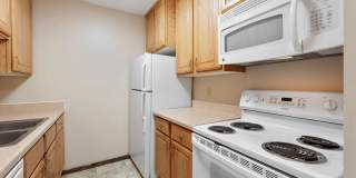 Shamrock Court Shamrock Court Gallery 1