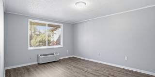 Orlando Terrace Apartments Gallery 11