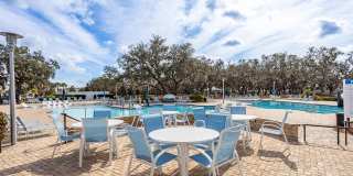 12619 HAMMOCK PARK DRIVE Gallery 29