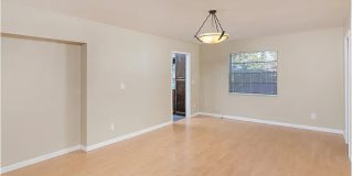 907 Eagle Lane Gallery 14