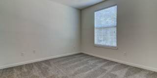 The Saulet Gallery 12