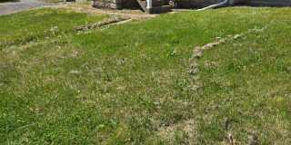 4001 ECHODALE Avenue Gallery 12