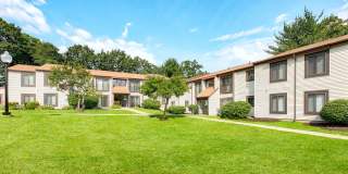 Tall Trees Gallery 12