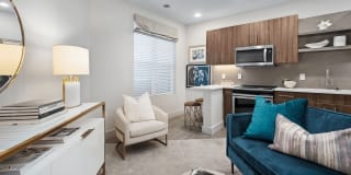 The Nicholas The Nicholas Gallery 31