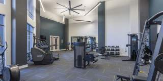 Emeline Heights Gallery 49