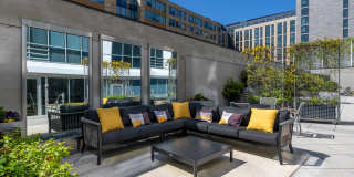 Lex and Leo at Waterfront Station Gallery 23