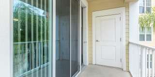 RIZE at Winter Springs Gallery 137