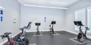 Windermere Cay Apartments Gallery 29