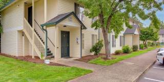 Harmony Court Gallery 14