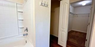 4/2 with Community Amenities Gallery 18