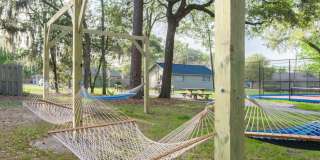 The Hammocks off 6th Gallery 83