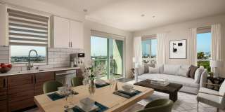 Ovelo Hollywood Gallery 5