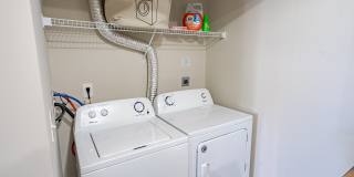 The Greyson Gallery 5