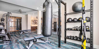 Indigo West Palm Beach Gallery 30