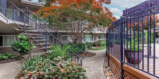 Park Lafayette Gallery 6