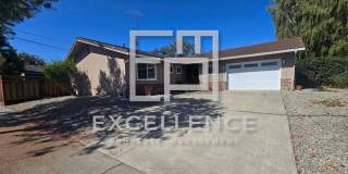 Newly Remodeled Home - Kitchen, floors, paint, everything new! Spacious yard & pets negotiable! Gallery 1