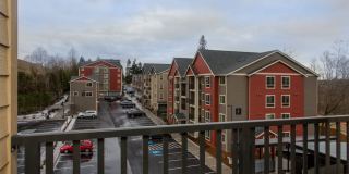 Scriber Creek Gallery 11