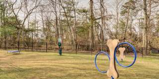 Chase Heritage Gallery 21