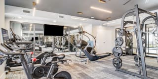 The Everly Gallery 17