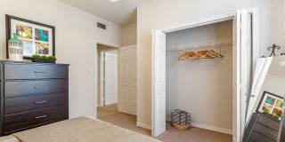 Spring Brook Gallery 11