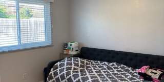 Spacious 3 Bedroom 2 Bath with a Den and Fireplace! Gallery 14