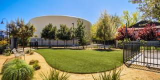 The Strand Gallery 33