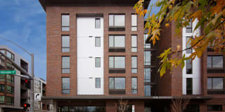 The Century Gallery 2