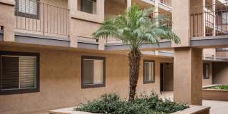 Elan View Pointe Gallery 14