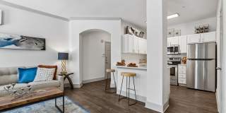 401 Teravista Gallery 4