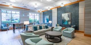 The Amelia Gallery 4