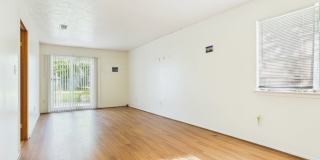1515 Pine Ridge Drive Gallery 4