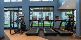 Alexan Main Street Gallery 55