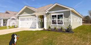 New Construction Home for Rent! Gallery 1