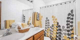 Sassafras Hill Gallery 20