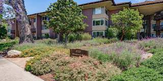 Desirable San Roque Condo Gallery 3