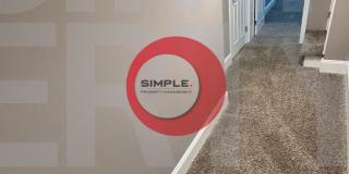 Large House 3-bedroom, 3.5 bathroom Gallery 11