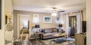 St. Johns Forest Gallery 5