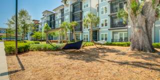 Century Town Center Gallery 21