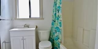 Quaint Northgate 2 bed/1 bath home AVAILABLE NOW for $2895! Gallery 13