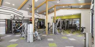 10742 E Crystal Falls Pkwy Gallery 15