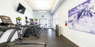 Rainier Pointe Gallery 25