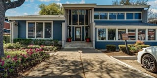 Alamo Oaks Gallery 1