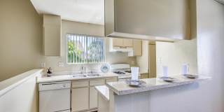 Harbor Pointe Apartments Gallery 12