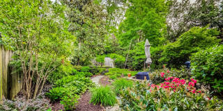 COMING SOON - Stunning 4 bed + 2 full & 2 1/2 bath Classic in NW DC Gallery 47