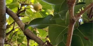 5246 Calderon Road Gallery 47