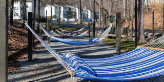 Arcadia Creekside Gallery 44