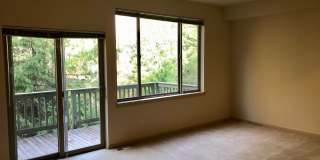 3 Bedroom 2.5 Bath Issaquah Townhouse 3 Bedroom 2.5 Bath Issaquah Townhouse Gallery 6