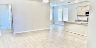 7729 96th Street Gallery 4